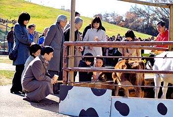 比較されがちなこと