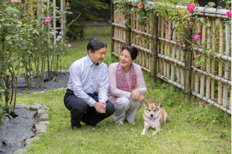 比較されがちなこと