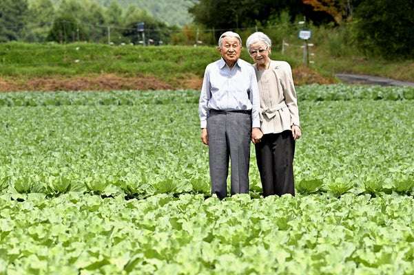比較されがちなこと