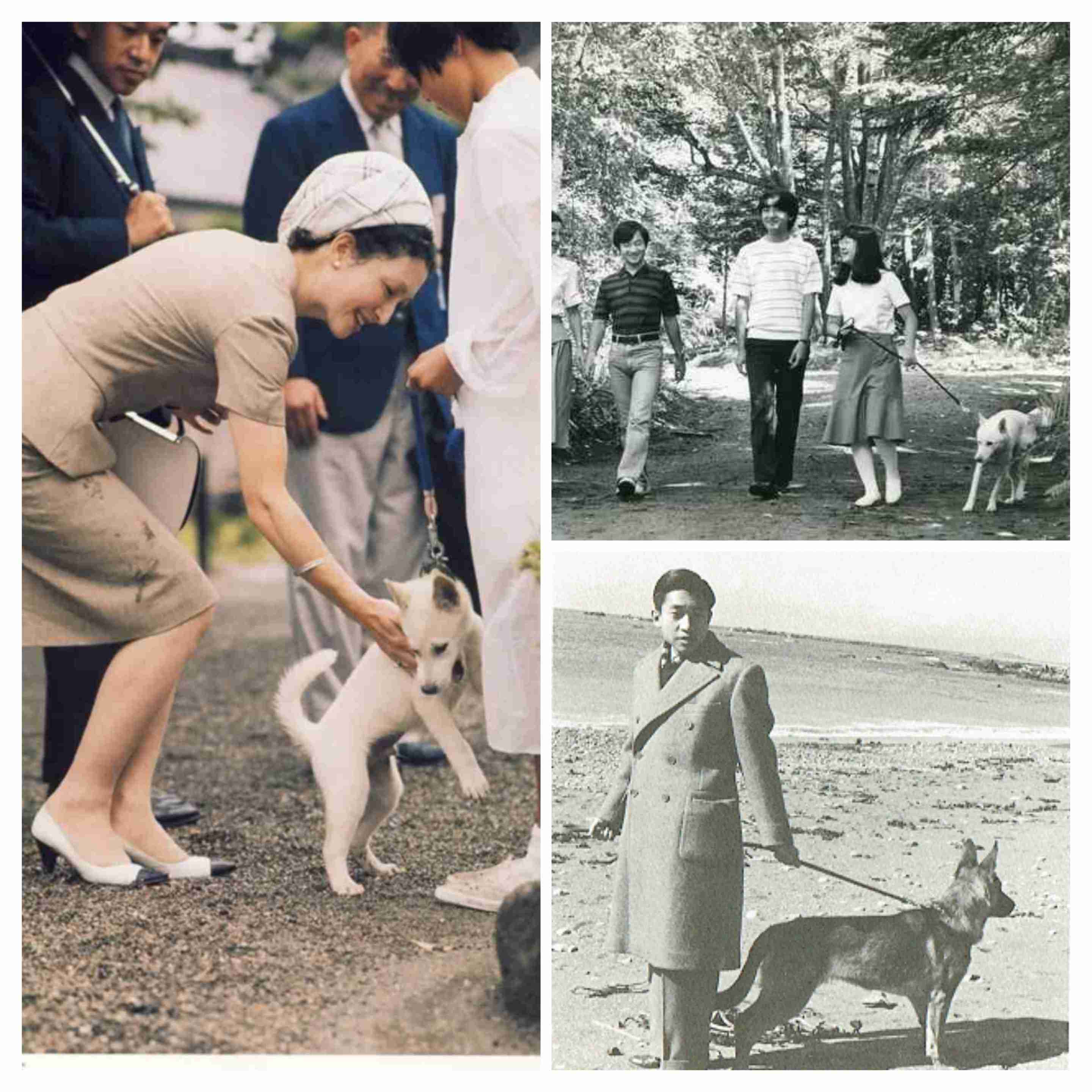 比較されがちなこと