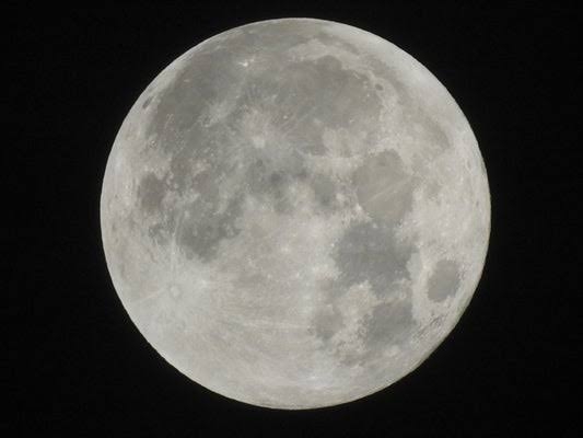 比較されがちなこと