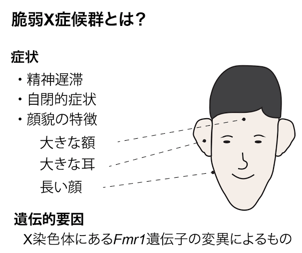 比較されがちなこと