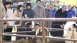 比較されがちなこと