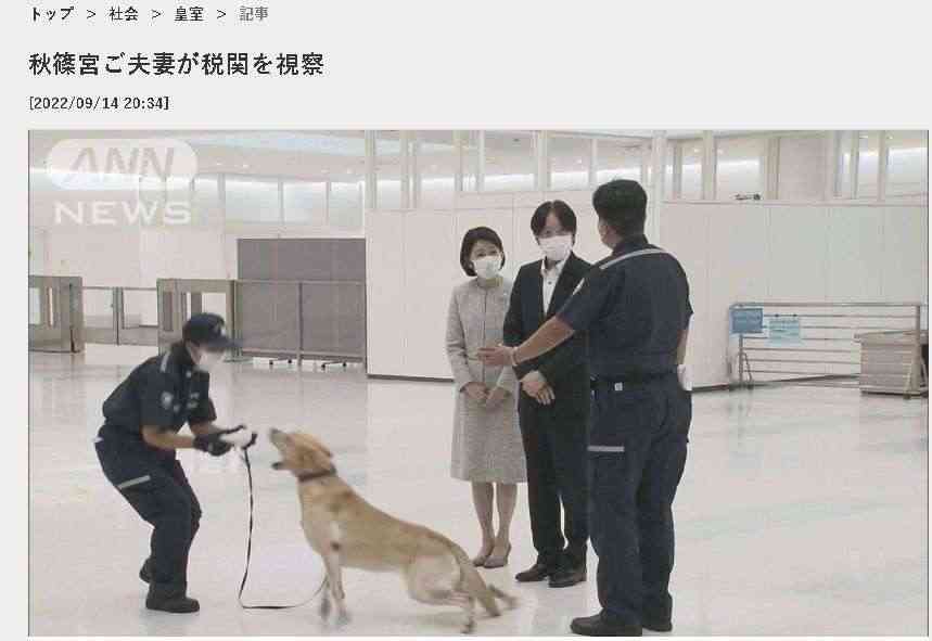 比較されがちなこと