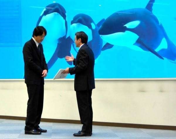 比較されがちなこと