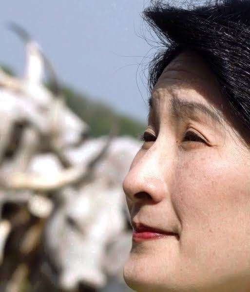 比較されがちなこと