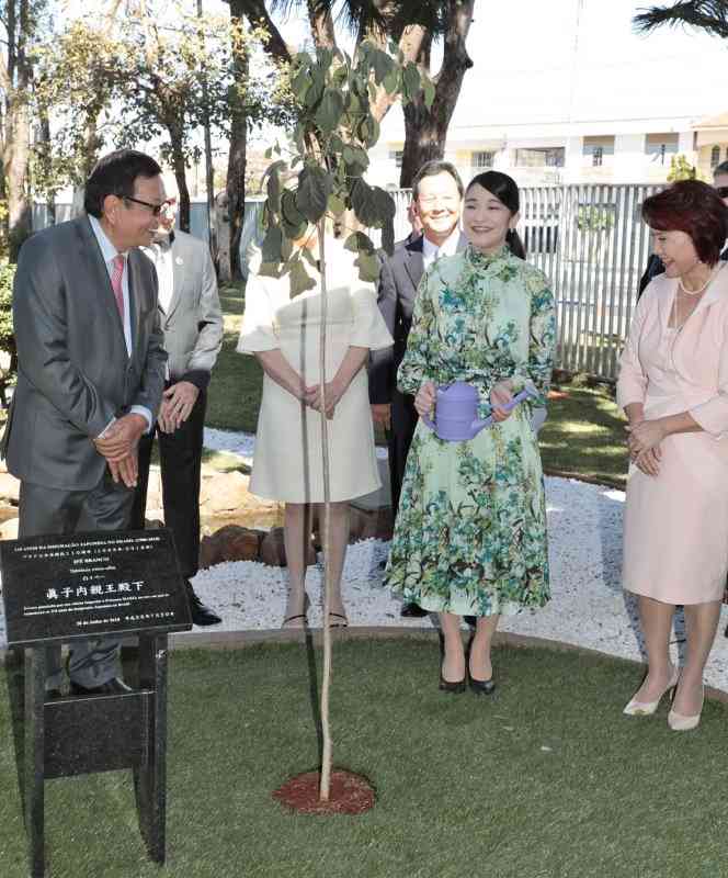 比較されがちなこと