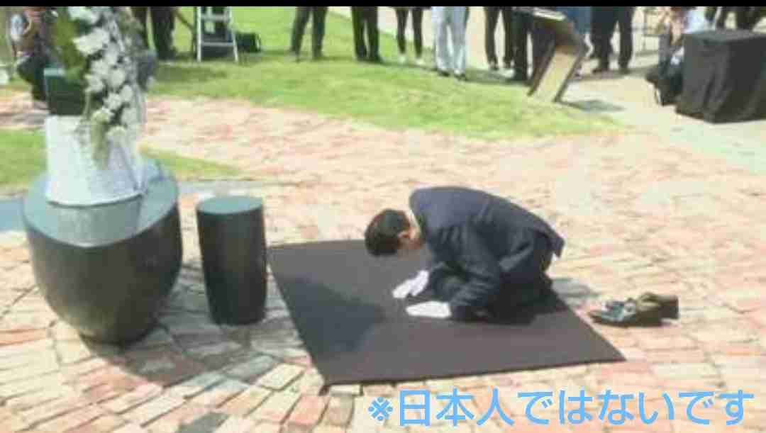 海外の慰安婦像、日本政府は撤去要求も実現の壁高く　岩屋外相「国際社会に明確に説明」