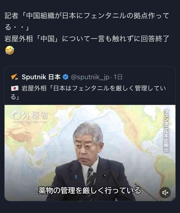 海外の慰安婦像、日本政府は撤去要求も実現の壁高く　岩屋外相「国際社会に明確に説明」