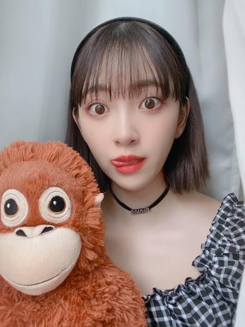 ぬい活してる？