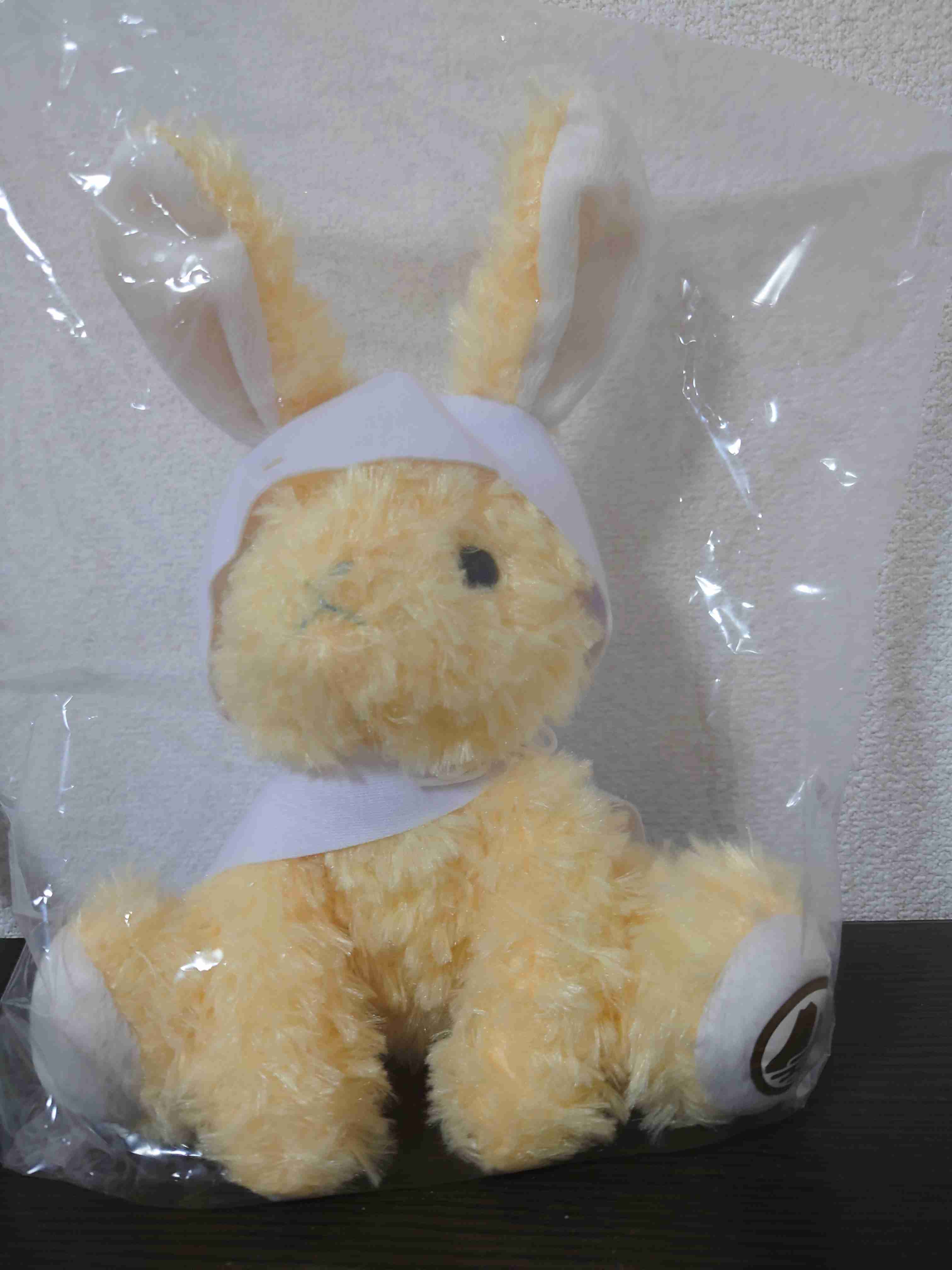ぬい活してる？