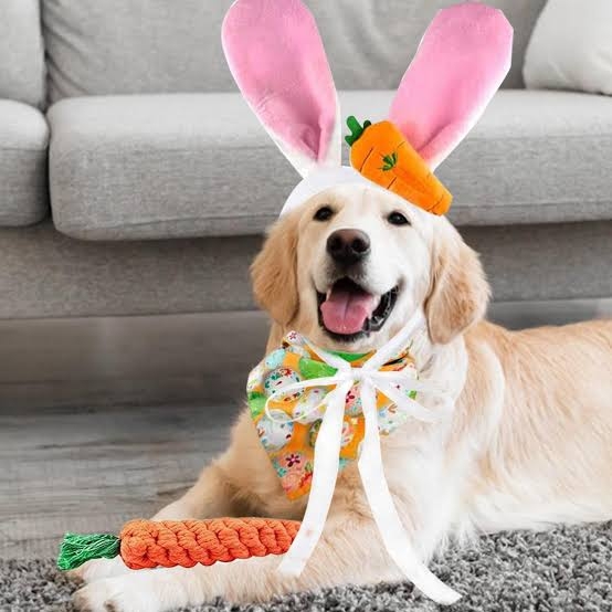 曲名に「犬だけど」を付けちゃうトピ