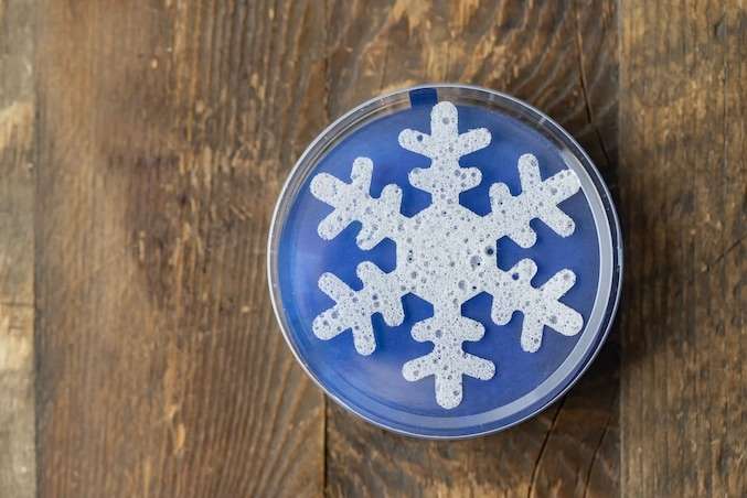 【食べ物以外】ご当地土産のお勧めを教えて