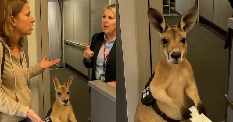「こんなの虐待」「飼い主の資格無し」炎天下の路上に犬を置き去り…飼い主の男性に批判殺到