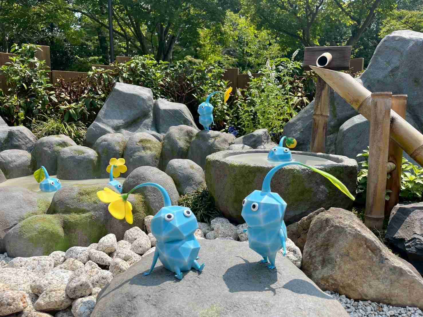 Pikmin Bloom（ピクミンブルーム）ピクミンとおでかけしよう🌻Part21