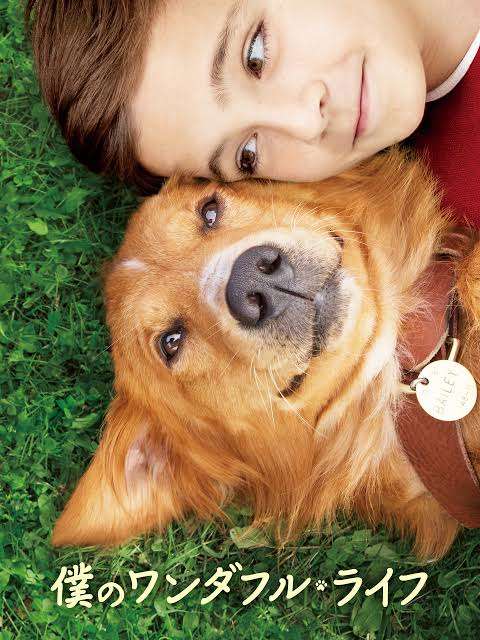 メンタル不安定な時におすすめの映画