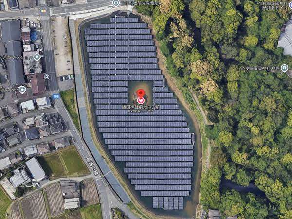 冨永愛、メガソーラー建設反対署名「なんで貴重な生態系のある釧路湿原に…」