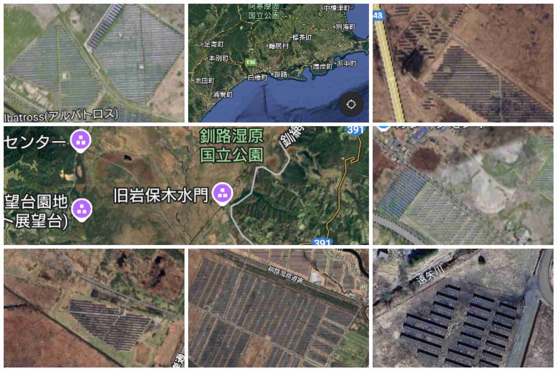 冨永愛、メガソーラー建設反対署名「なんで貴重な生態系のある釧路湿原に…」
