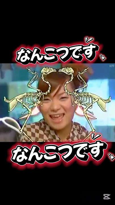 モーニング娘。OGの「今」について語りたい⭐︎