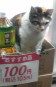 そんなに高くないけど買うか買わないか迷ってる物　パート2