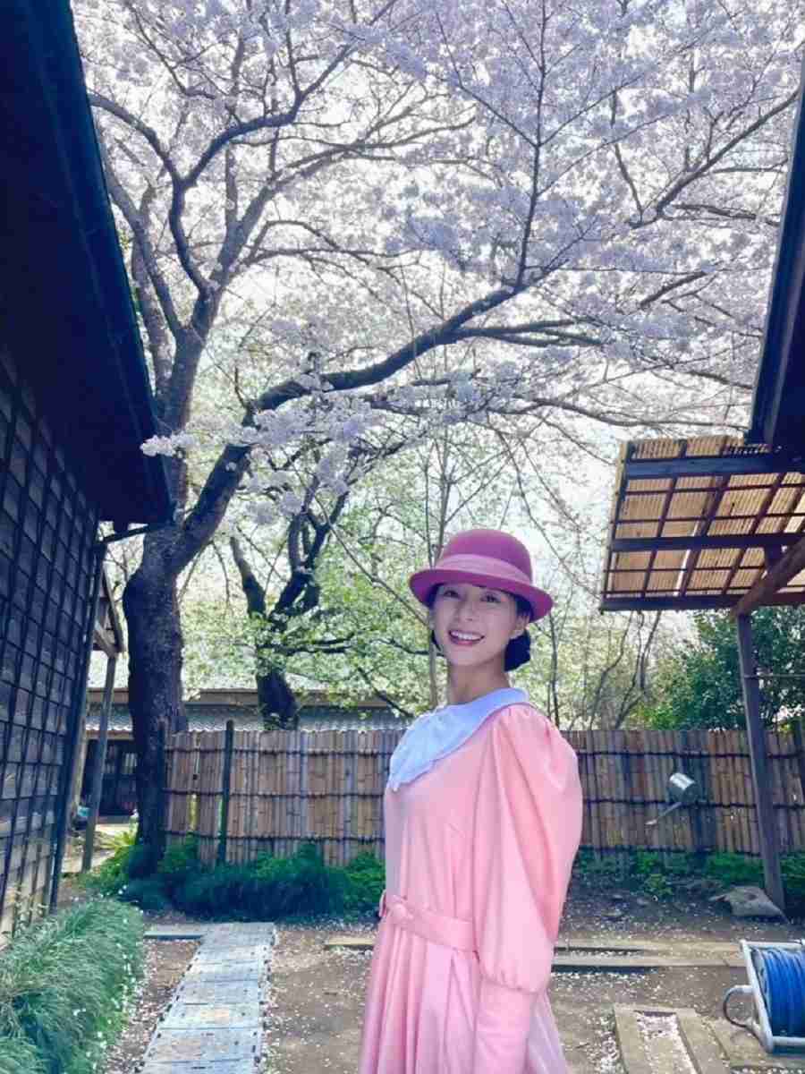 ドラマ「波うららかに、めおと日和」が好き【アンチ厳禁】