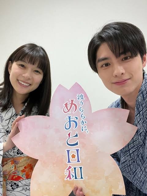 ドラマ「波うららかに、めおと日和」が好き【アンチ厳禁】