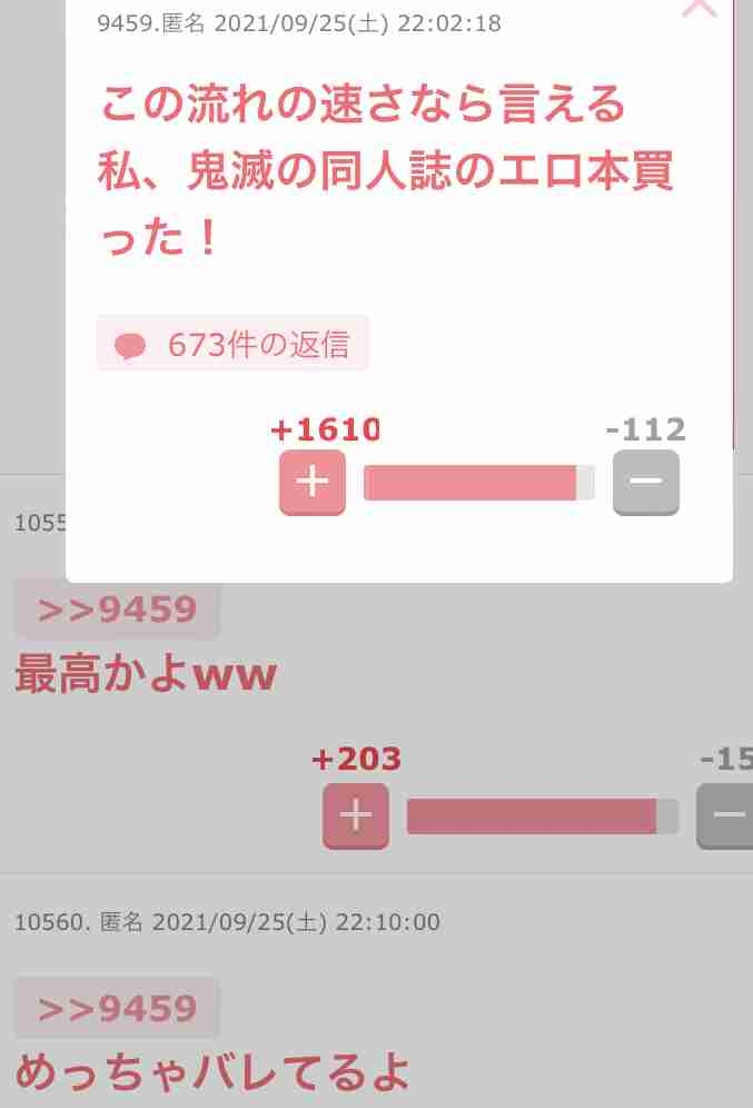 自分の過去コメントについてその後を報告するトピ