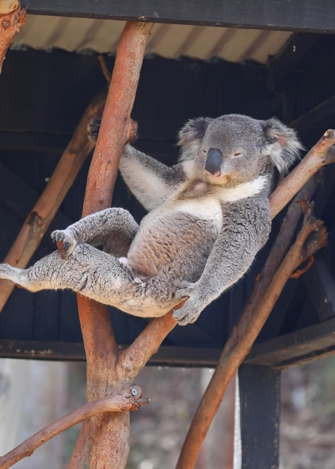 会社に居場所がない…