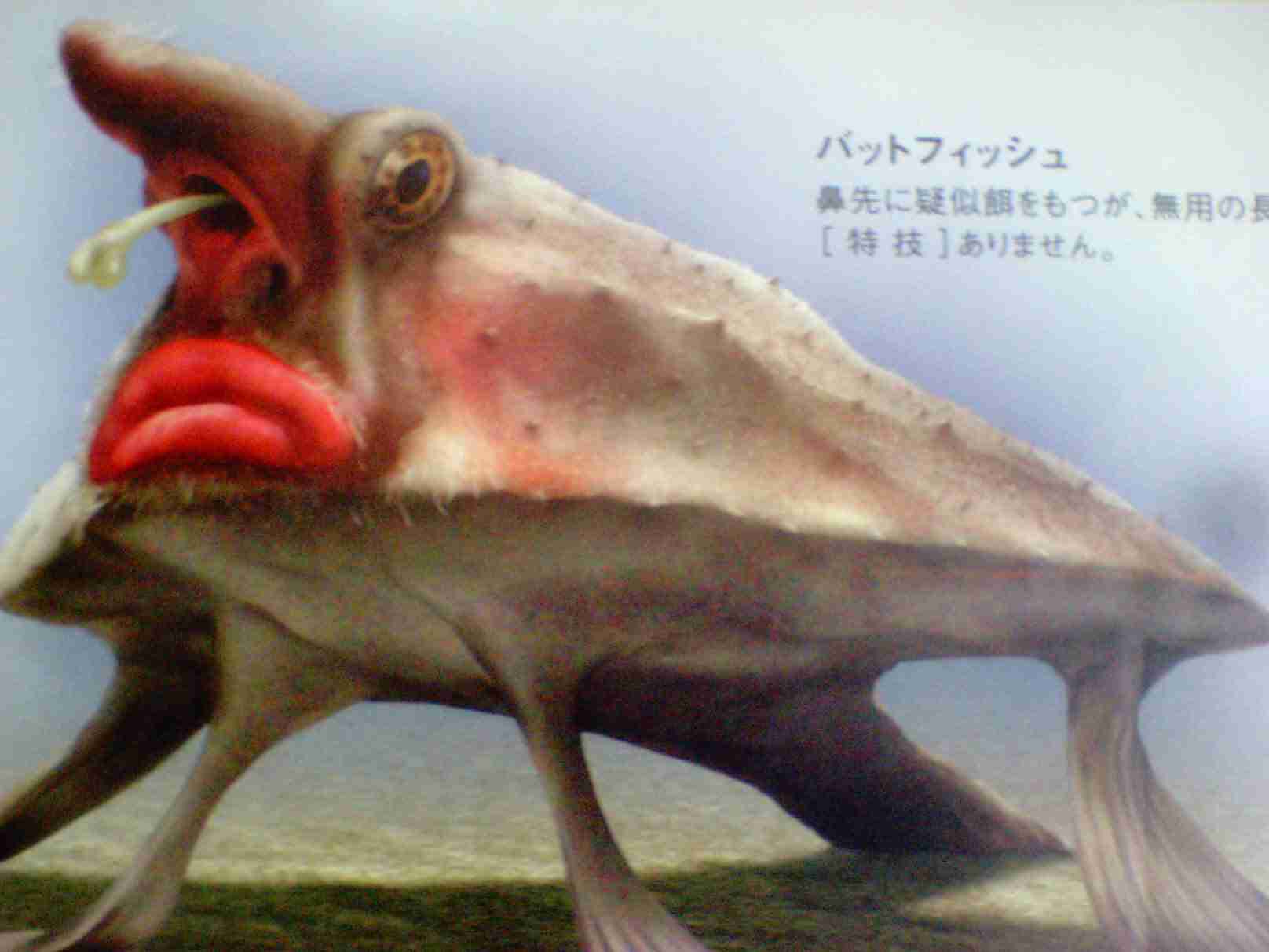 好きな人が鼻毛が出てるとなぜ冷めるのでしょうか？