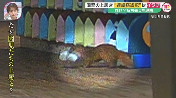 キツネからの〝お布施〟? 盗んだ靴をなぜか寺に 住職困惑「何が起こっているのか」/兵庫・丹波市