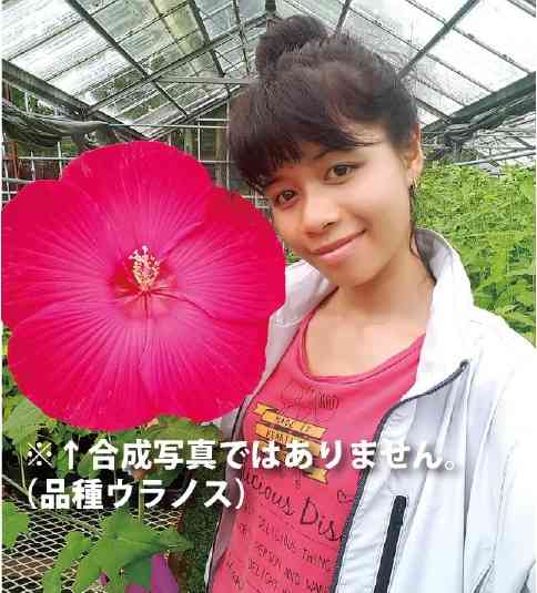 【ガーデニング】ガルちゃん園芸部【花・植物】part.47