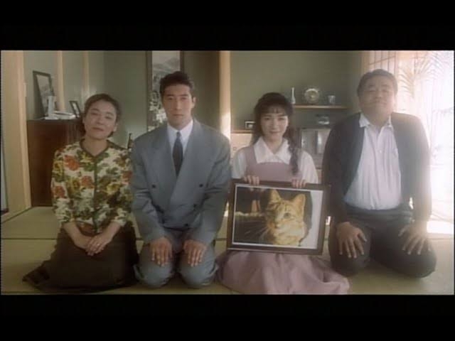 家族写真撮りますか？