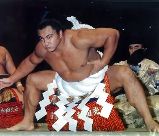 【実況・感想】大相撲7月場所を応援するトピ