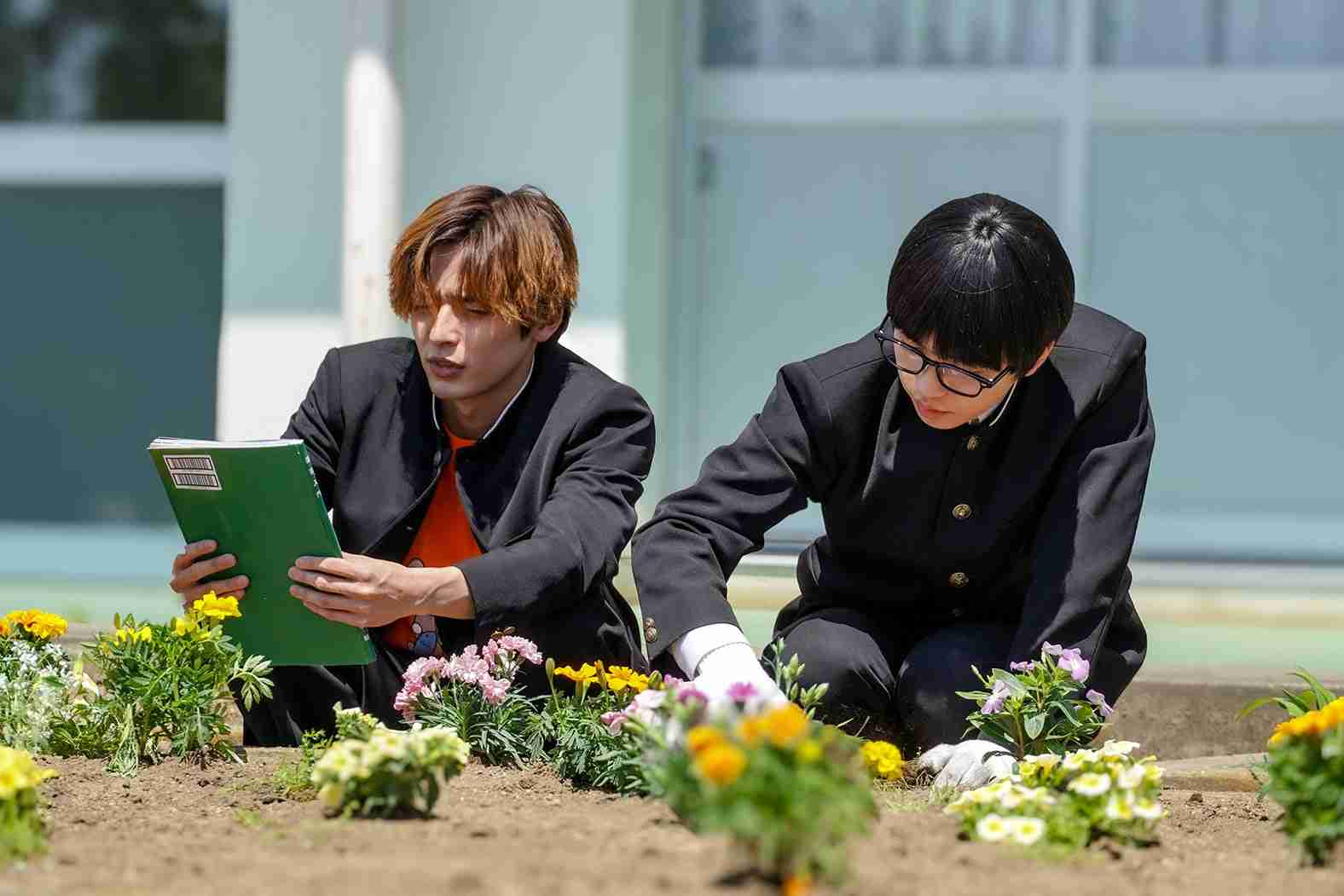 【ドラマ】「恋愛ルビの正しいふりかた」を語ろう