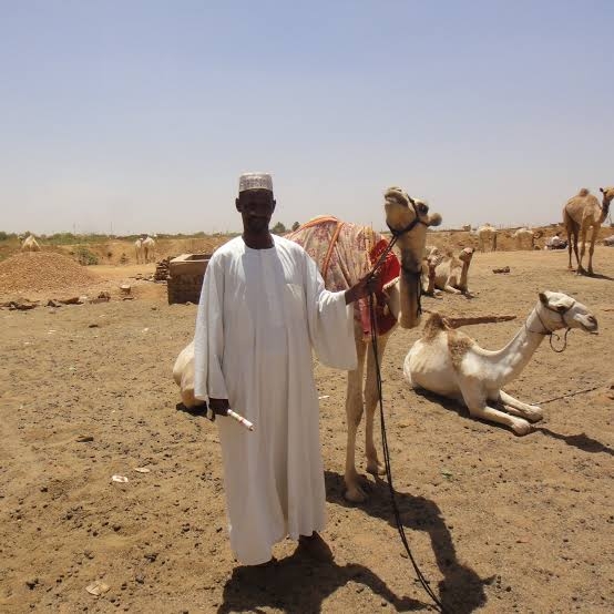 「もっと薄着をしたらいいのに」　猛暑の夏、米国女性が日本に“提言”「この暑さではそうも言ってられない」