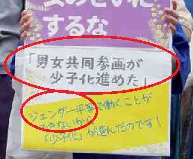 「高齢女性子産めない」に抗議する集会　参政党代表発言「女性の尊厳を傷つけ、生きづらくなる」