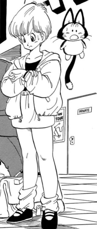 【ドラゴンボール】ブルマ好きな人