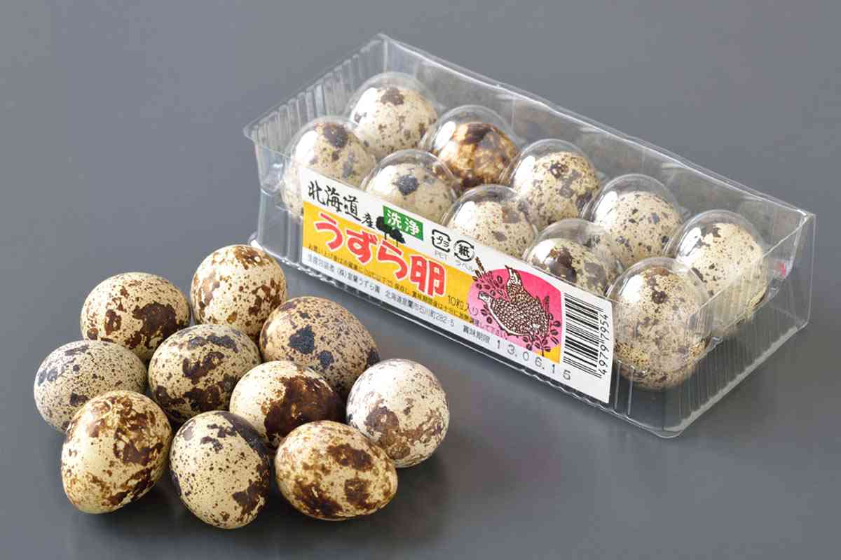 “殻がなく黄身透けた卵” ニワトリも夏バテ…卵に異変　1パック340円で最高値に接近　「エッグショック」再来か