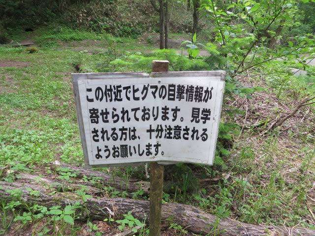 【閲覧注意】山に関する不思議､怖い体験part14