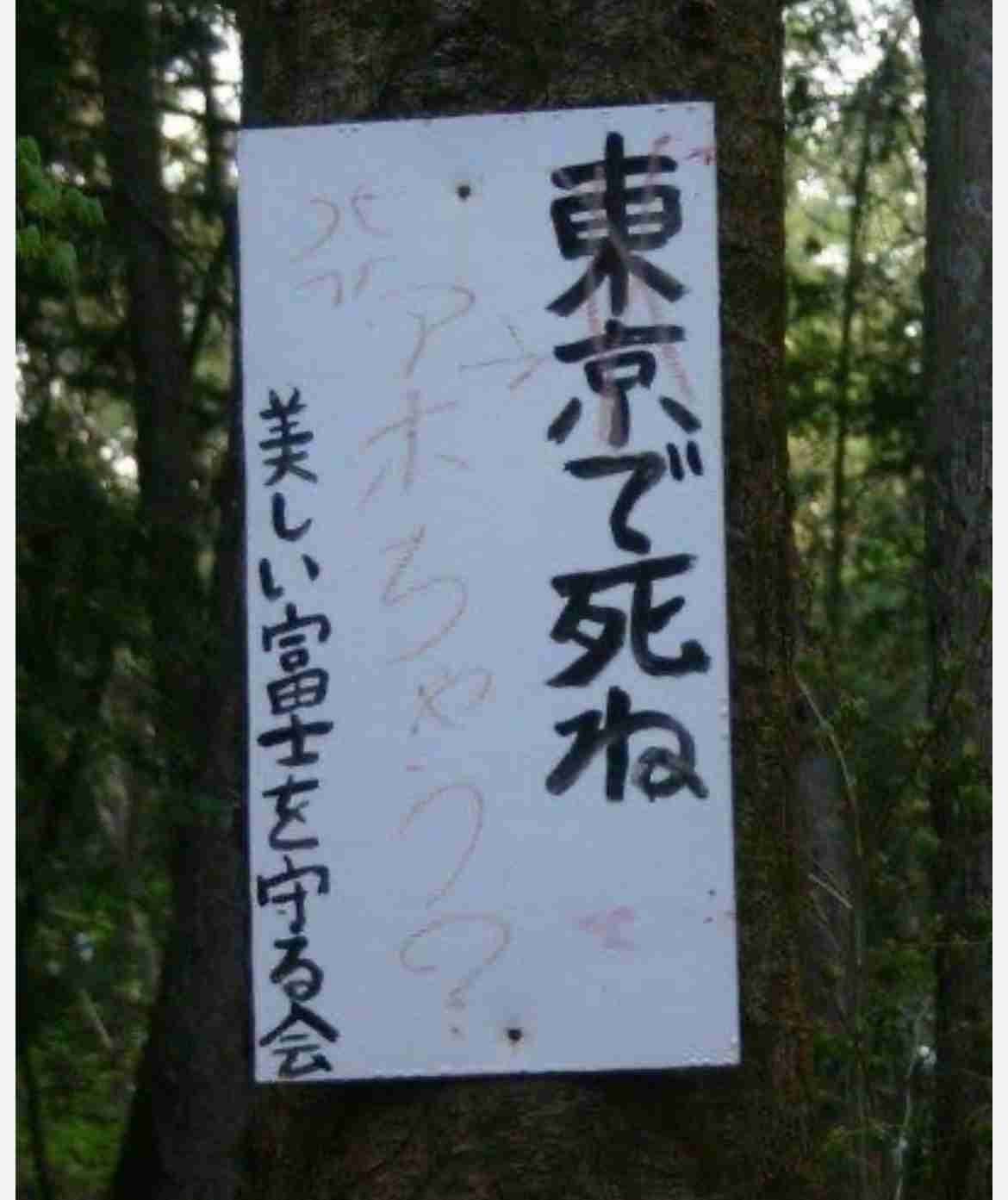 【閲覧注意】山に関する不思議､怖い体験part14