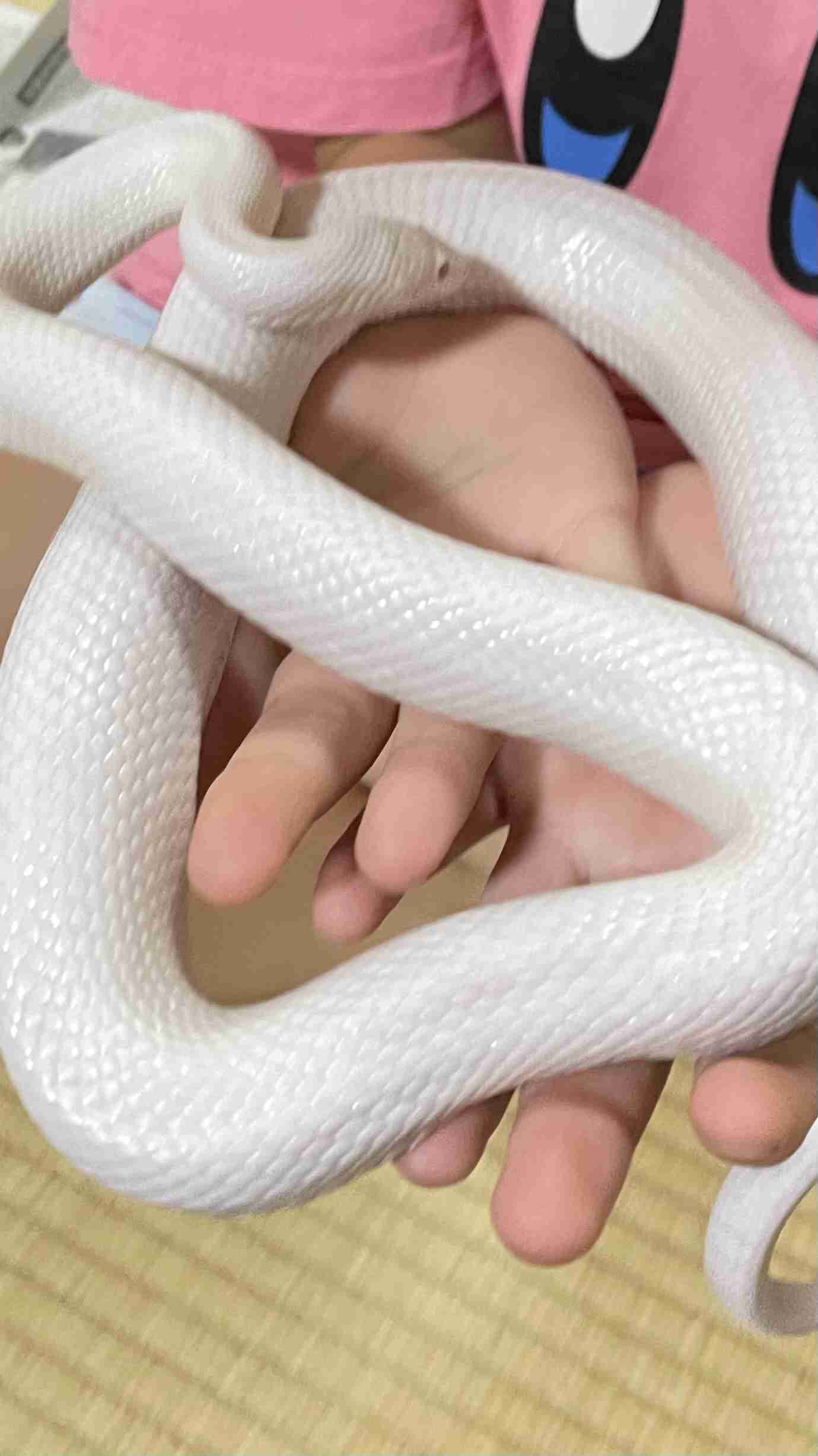 【閲覧注意⚠️】へびや爬虫類の話がしたい