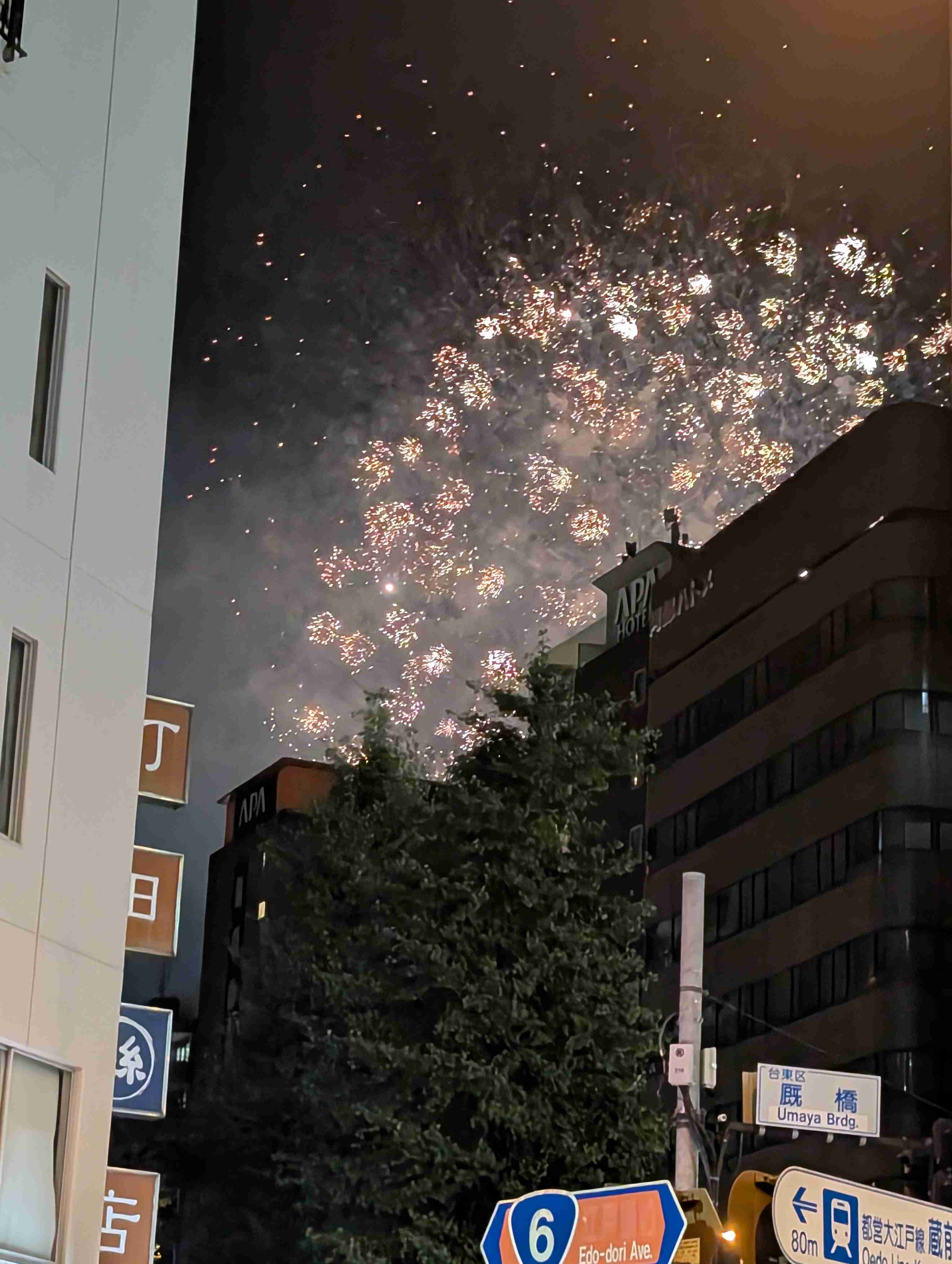 【実況】隅田川花火大会2025☆実況トピ