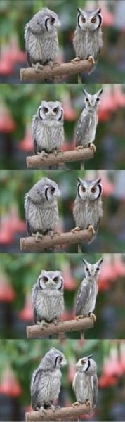 【老化？】体重が減っていく【コロナ？】【夏バテ？】