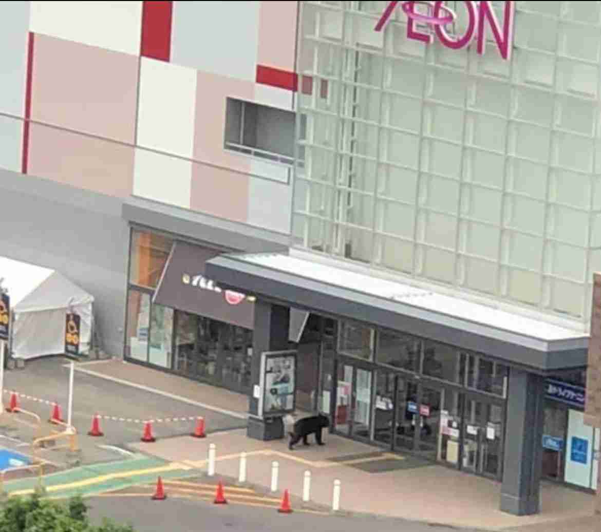 福島町でクマ1頭の目撃情報 男性がクマに襲われ死亡した現場から約4キロの場所 北海道