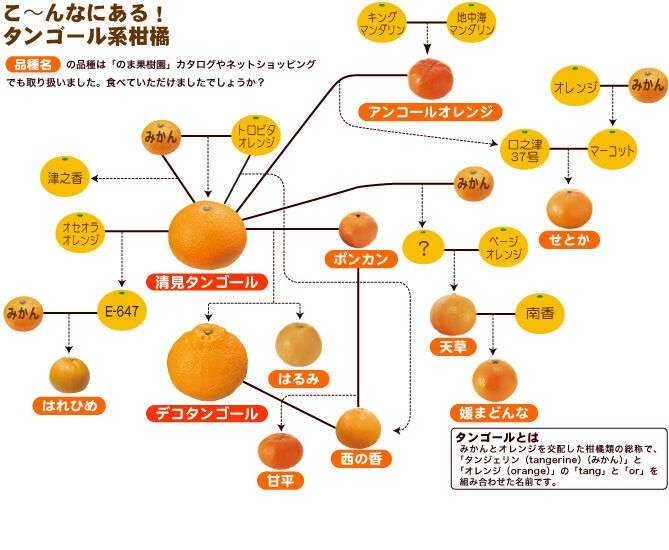 【ネタ可】経営してみたい店・事業・会社