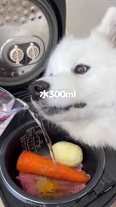 おすすめのカレー用の鍋