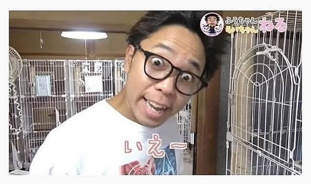 保護猫の譲渡会行ったことある方