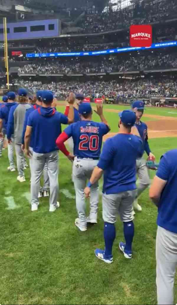 MLBシカゴ・カブスを応援しましょう！【今永投手、鈴木選手、前田投手所属】