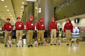 成田空港のおすすめ