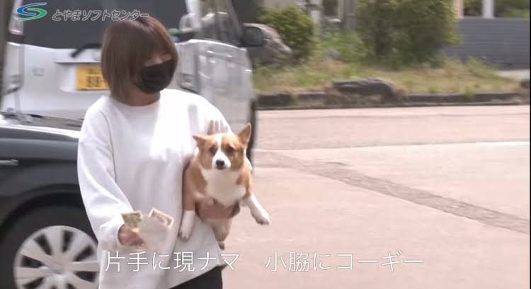 動物系youtubeのおすすめありますか？